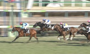 【競馬】グレーターロンドン、安田登録も出否未定 【競馬】グレーターロンドン、安田登録も出否未定