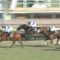 【競馬】グレーターロンドン、安田登録も出否未定
