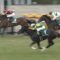 【競馬】今年の毎日杯ハイレベルだった