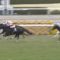 【競馬/皐月賞】アイトーンってガチで強くね？