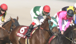 【競馬】ヤマカツエース(G1未勝利)シルバーステート(重賞未勝利)→種牡馬　クラリティスカイ(G1馬)→乗馬