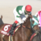 【競馬】ヤマカツエース(G1未勝利)シルバーステート(重賞未勝利)→種牡馬　クラリティスカイ(G1馬)→乗馬
