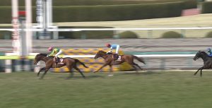 【競馬】トーセンバジル死亡。パドック中の事故により