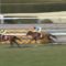 【競馬/天皇賞春】シュヴァルグラン福永「2強に勝つイメージある」