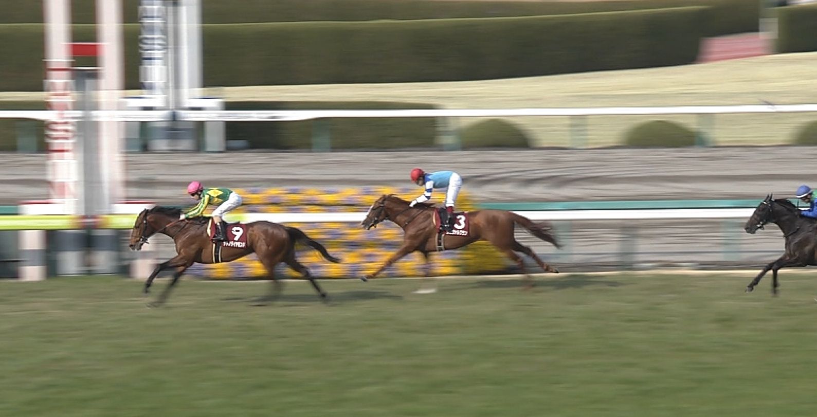 【競馬/天皇賞春】シュヴァルグラン福永「2強に勝つイメージある」 【競馬/天皇賞春】シュヴァルグラン福永「2強に勝つイメージある」