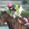 【競馬/大阪杯】サトノダイヤモンド本命◎の奴に聞きたい