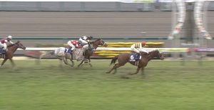 【競馬】高松宮記念売り上げ前年比ダウン【ドバイ?雨?】 【競馬】高松宮記念売り上げ前年比ダウン【ドバイ?雨?】