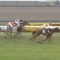 【競馬】高松宮記念売り上げ前年比ダウン【ドバイ？雨？】