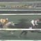 【競馬】前走有馬記念11着→12ヶ月休養→有馬記念1着←これカッコよすぎるやろ