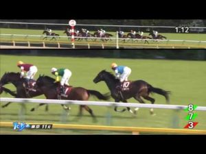 【競馬/青葉賞】アドミラブル2.23.6ｗｗｗｗｗｗｗｗこれダービー確定やろｗｗｗｗm