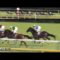 【競馬/青葉賞】アドミラブル2.23.6ｗｗｗｗｗｗｗｗこれダービー確定やろｗｗｗｗm