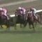 【競馬】武豊会心の騎乗、ナリタタイシンの皐月賞だった