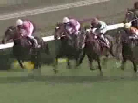 【競馬】武豊会心の騎乗、ナリタタイシンの皐月賞だった