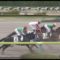 【競馬】藤田菜七子、最後方から全員を抜く！！