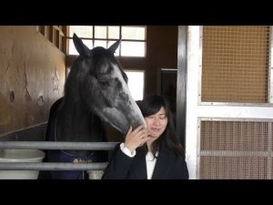 【競馬/桜花賞】アドマイヤミヤビ派 【競馬/桜花賞】アドマイヤミヤビ派