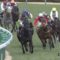 【競馬/皐月賞】クリンチャーの恐ろしいまでの成長力に気付いてない奴は馬鹿