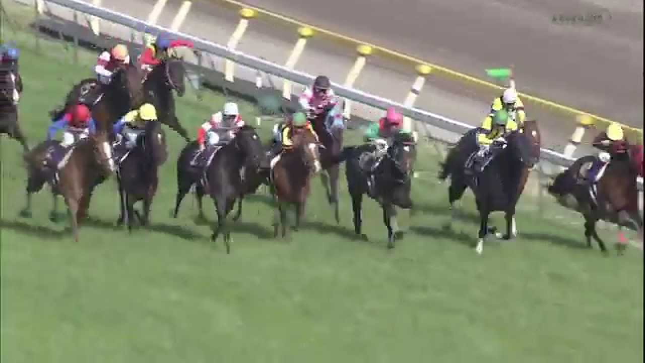 【競馬】オルフェの皐月賞って府中なんだよな笑