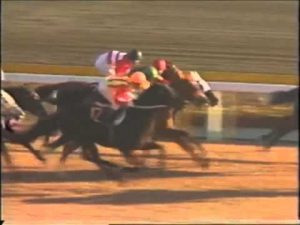 【競馬】ジャパンカップ、予備登録ですらしょぼい