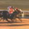 【競馬】第一回ジャパンカップの衝撃ってどんなんだったの？