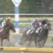 【競馬】蛯名、遂にダンスを完全に封印！！！
