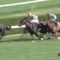 【競馬】福永祐一、フィエロを終始立ち上がる騎乗で追えない制御できないｗｗｗｗｗｗｗｗｗ