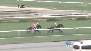 【競馬】オルフェーヴルはなぜ天皇賞春で凡走したの？