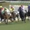 【競馬/青葉賞】アドミラブルは本当に怪物なのか