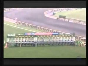 【競馬】訃報 快速牝馬エイシンバーリンが死亡 25歳 【競馬】訃報 快速牝馬エイシンバーリンが死亡 25歳