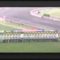 【競馬】訃報 快速牝馬エイシンバーリンが死亡 25歳