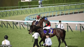 【競馬】＜JRAも激怒！？＞ M.デムーロ騎手「中指立て」皐月賞松山弘平騎手を非難疑惑浮上！「やる資格ない」抗議殺到の理由