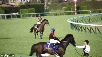 【競馬】＜JRAも激怒！？＞ M.デムーロ騎手「中指立て」皐月賞松山弘平騎手を非難疑惑浮上！「やる資格ない」抗議殺到の理由