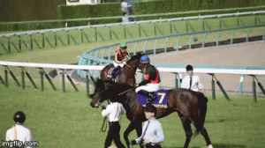 【競馬】どうしたデムーロ? 最近明らかにおかしい 【競馬】どうしたデムーロ? 最近明らかにおかしい