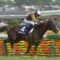 【競馬】メジャーエンブレム、初年度はルーラーシップと交配