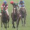 【競馬】ジョーストリクトリがダービー出走で大波乱の予感