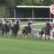 【競馬】ダノンシャンティのNHKマイルでの走りってヤバくね？