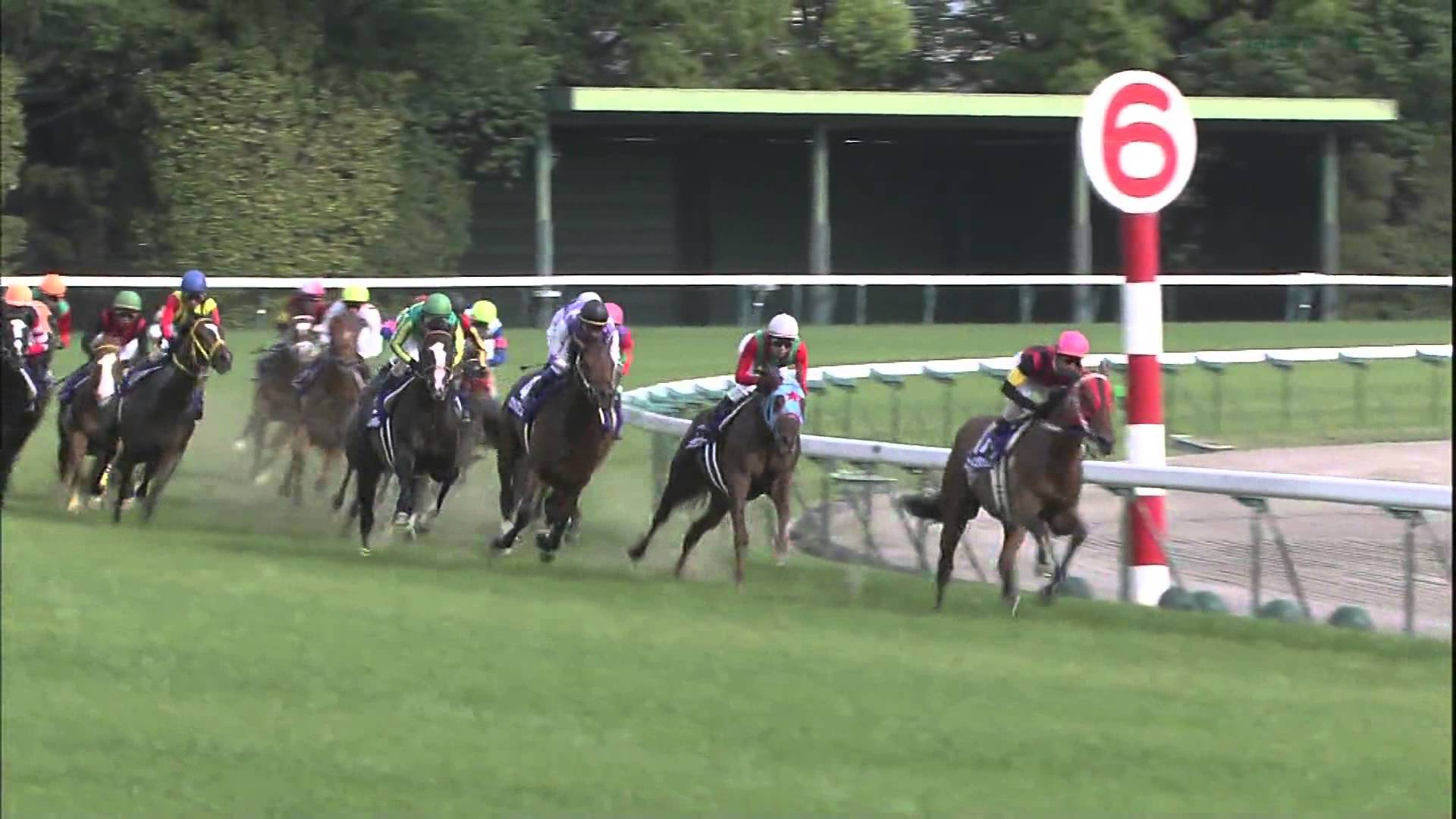 【競馬】ダノンシャンティのNHKマイルでの走りってヤバくね? 【競馬】ダノンシャンティのNHKマイルでの走りってヤバくね?