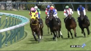 【競馬/青葉賞】まさかアドミラブルはフローラルSのホウオウパフュームみたいに期待を裏切るなんて事はないよね? 【競馬/青葉賞】まさかアドミラブルはフローラルSのホウオウパフュームみたいに期待を裏切るなんて事はないよね?