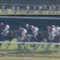 【競馬/フローラS】ホウオウパフュームは化物だよな？