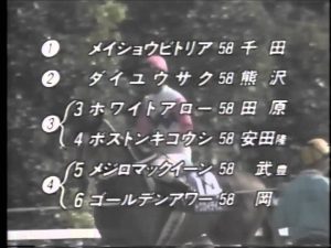 【競馬】今年の天春ってメジロマックイーンvsトウカイテイオーの時の雰囲気に似てるよね