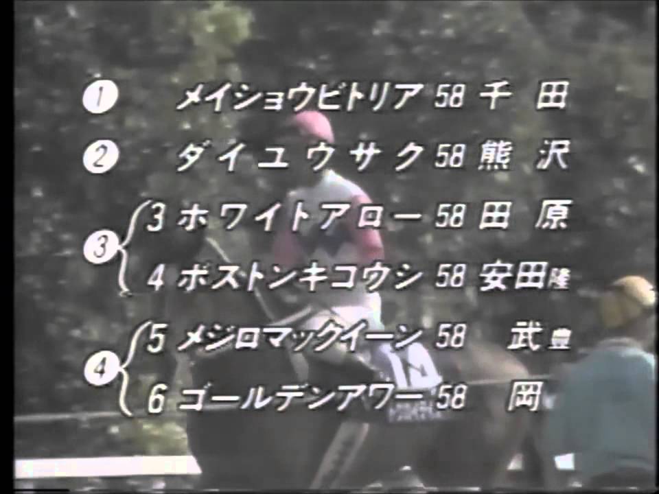 【競馬】今年の天春ってメジロマックイーンvsトウカイテイオーの時の雰囲気に似てるよね