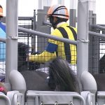 【競馬/桜花賞】アドマイヤミヤビ惨敗の原因→う○こ中にゲートが開いて死亡 【競馬/桜花賞】アドマイヤミヤビ惨敗の原因→う○こ中にゲートが開いて死亡