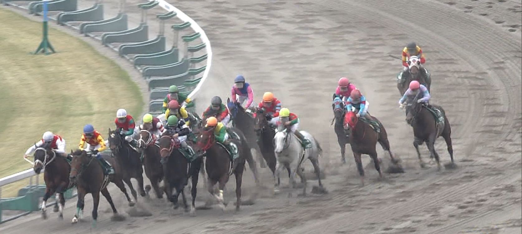 【競馬】典さんブリリアントS本命馬ミツバから降ろされるw 【競馬】典さんブリリアントS本命馬ミツバから降ろされるw