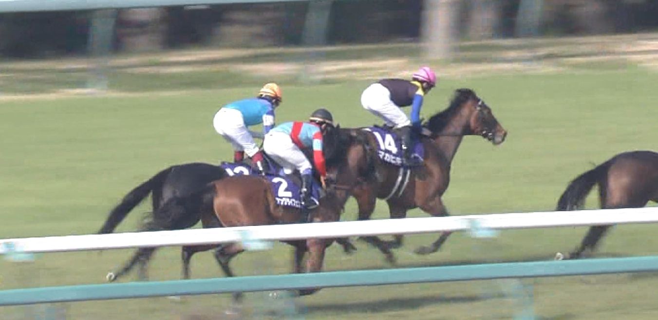 【競馬/大阪杯】福永「アンビシャスは自分から動いていって勝てる馬ではない」