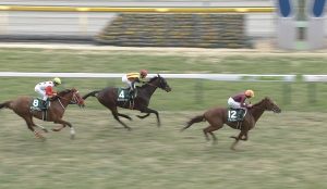 【競馬/天皇賞春】ラブラドライト買うやつwww