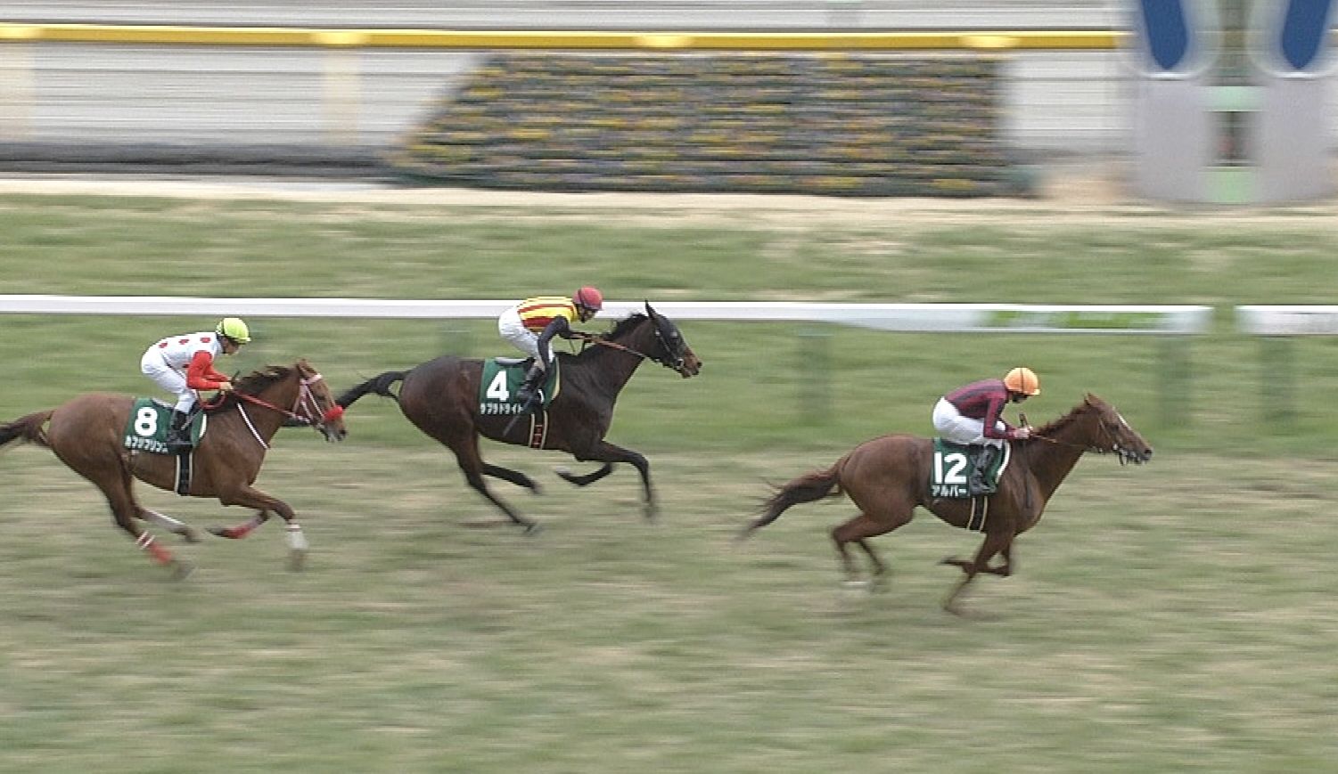 【競馬/天皇賞春】ラブラドライト買うやつwww