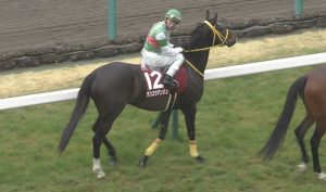 【競馬/東京新聞杯】蛯名ダノンプラチナ乗らずにデンコウアンジュw