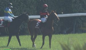【競馬/フローラS】ホウオウパフューム両前落鉄ｗｗｗｗｗｗ