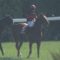 【競馬/フローラS】ホウオウパフューム両前落鉄ｗｗｗｗｗｗ