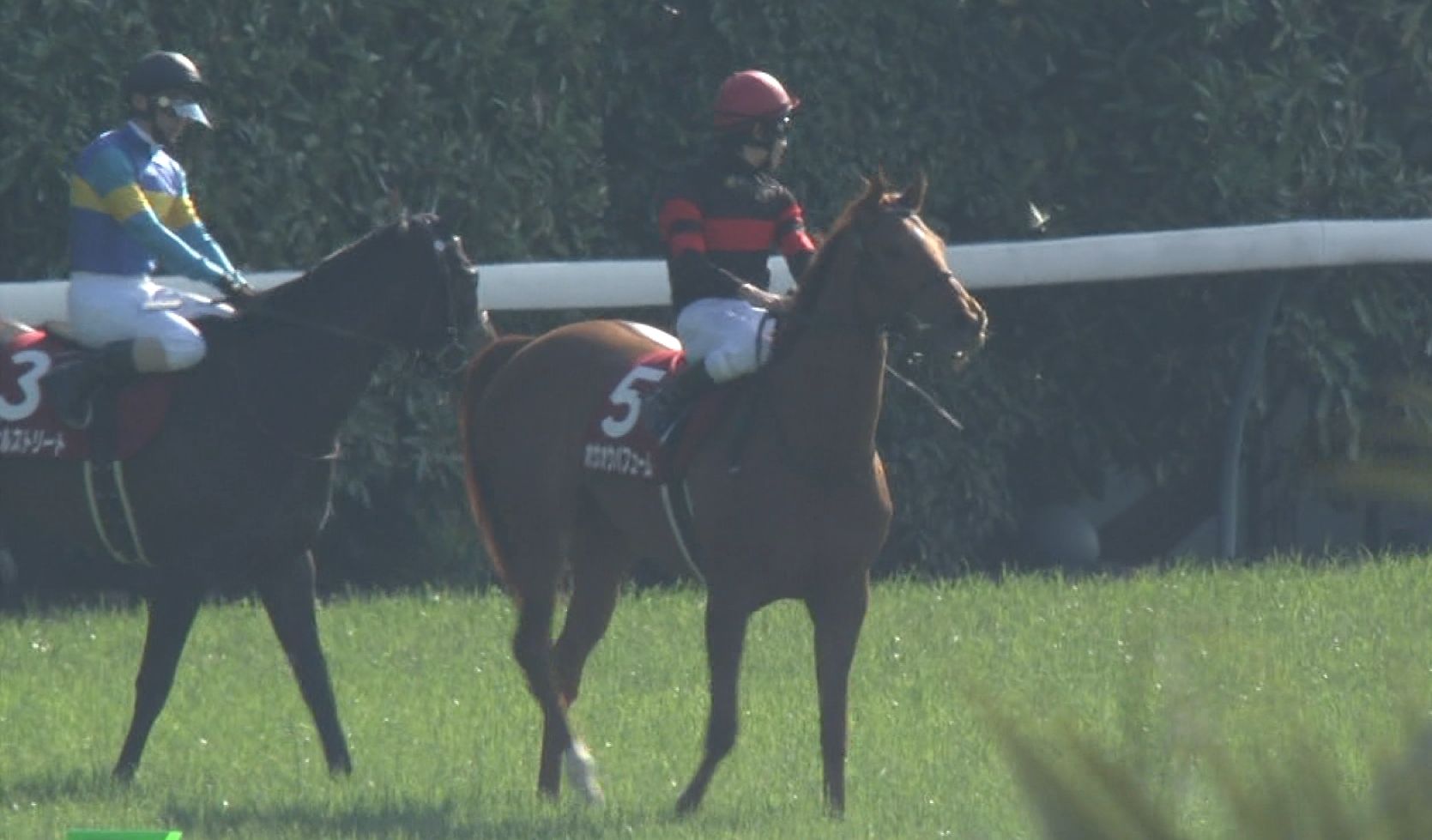 【競馬/フローラS】ホウオウパフューム両前落鉄ｗｗｗｗｗｗ