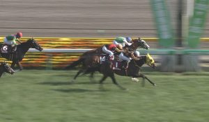 【競馬】オークスの穴馬はモズカッチャンで決まり！
